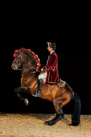 A Escola Portuguesa de Arte Equestre