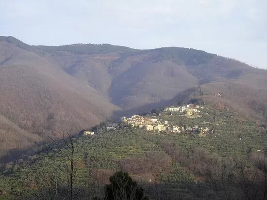 Museo del Carbonaio