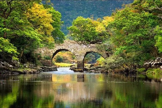 Ross Castle Boat Tours
