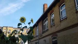 KlassMo - Cafe & Gastehaus Mit Kulturwerkstatt