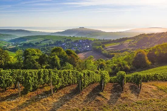 Office De Tourisme Du Grand Sancerrois