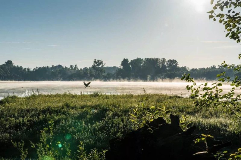 Naturschutzgebiet "Rastatter Rheinaue"