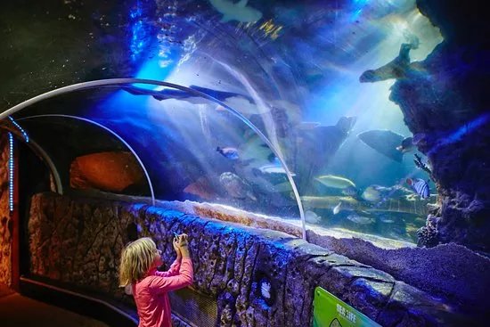 Sea Life Blankenberge