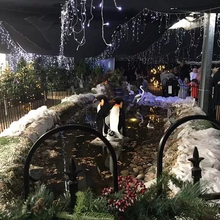 Dobbies Garden Centre