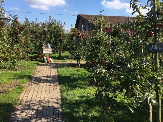 Schenkerij "de boomgaard" en landwinkel