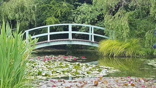 Bennetts Water Gardens