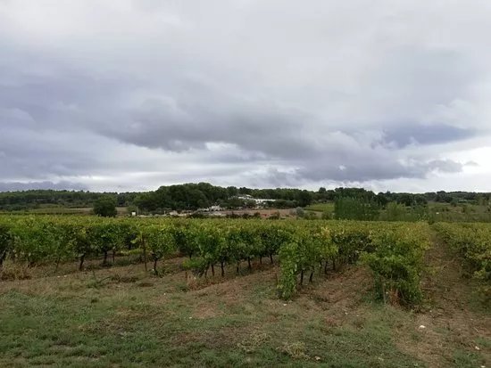 Chateau L'Evesque