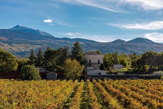 Campore Winery