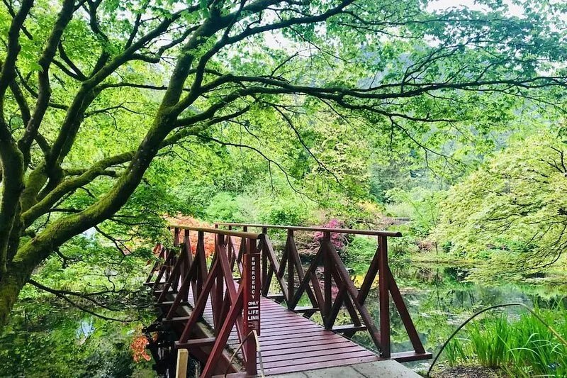 Heronlea Cottage - 4 guests, pet friendly, picturesque Scottish setting