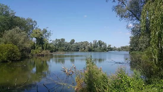 Paxton Pits Nature Reserve