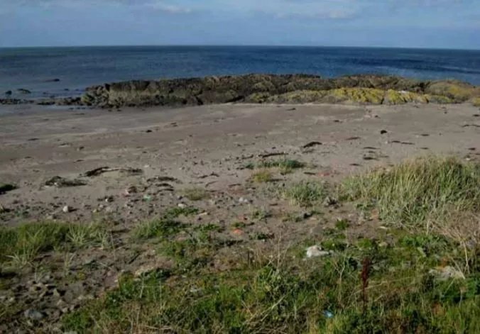 Horse Rocks Fossil Beach