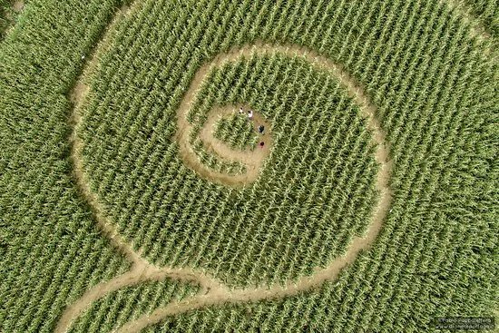 Fattoria Didattica “La Selce”