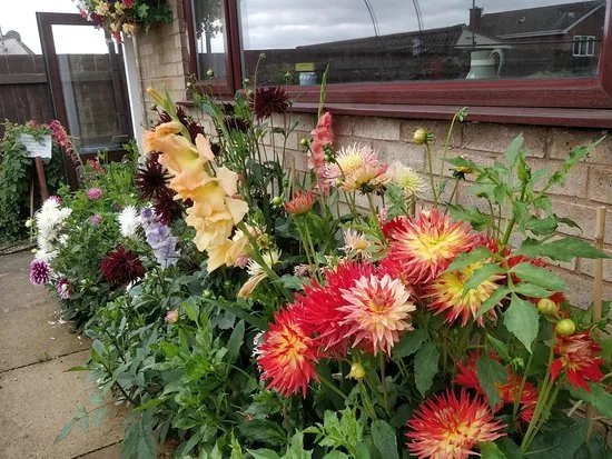 Froggery Cottage Garden