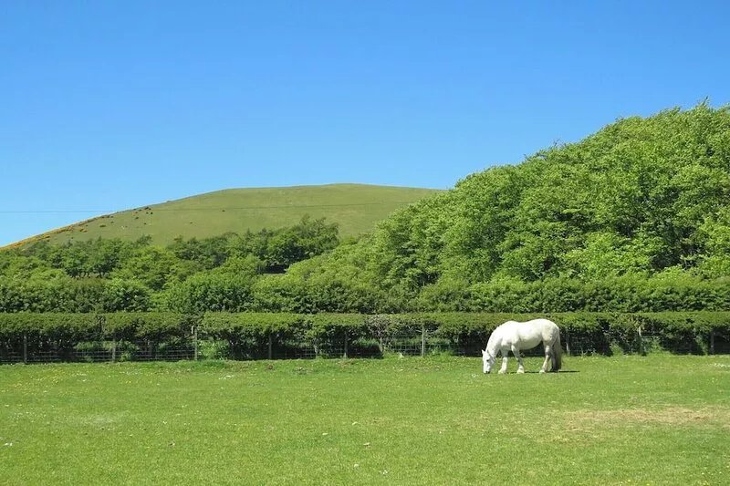 1 bedroom accommodation in Kilbucho, near Biggar