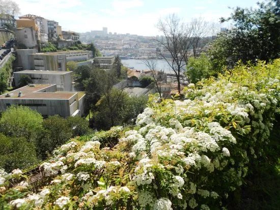 Jardim Municipal do Horto das Virtudes