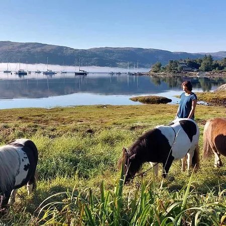 Horse Play Adventures Scotland