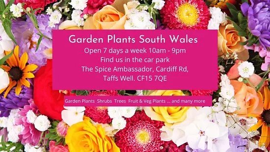 Garden Plants South Wales