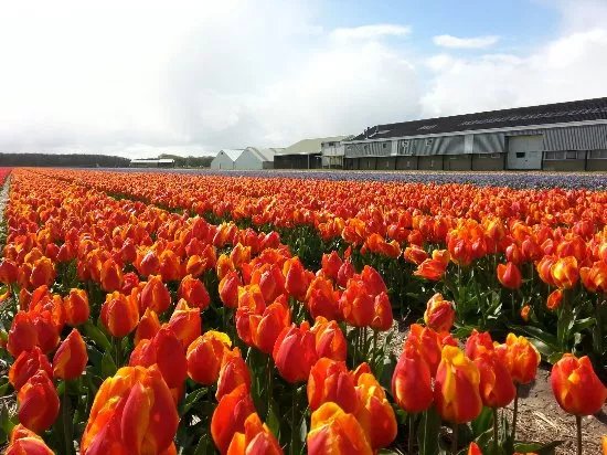 Hoeve Wassergeest