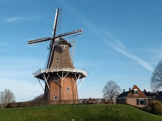 Molen Zeldenrust