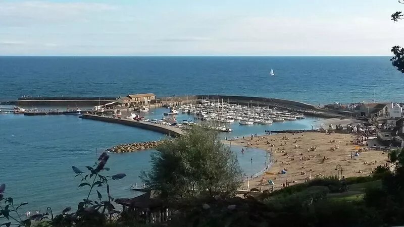 Delightful country cottage. Stunning views.  A few minutes walk to Seatown beach