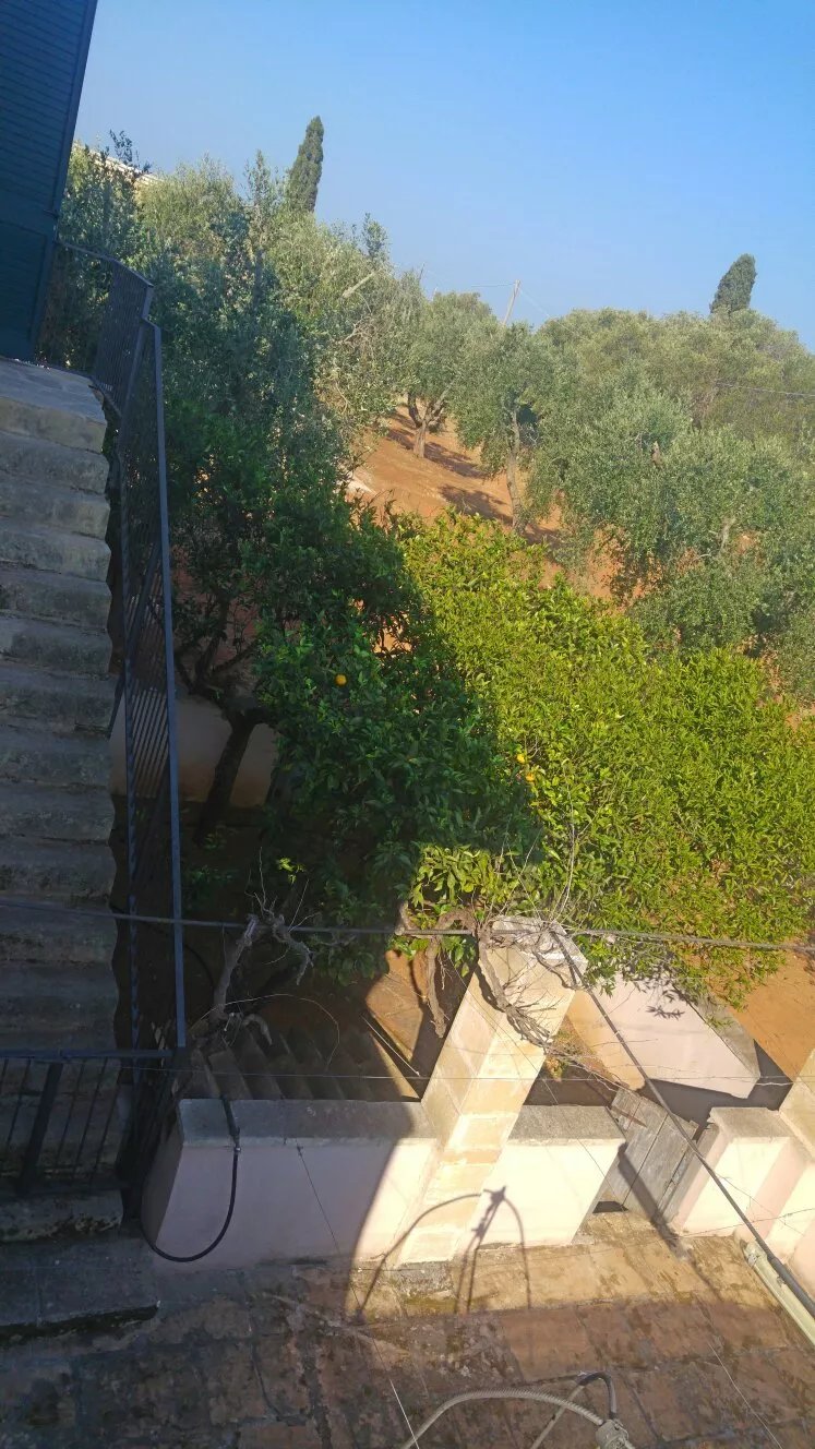 Country house La Brancaccia