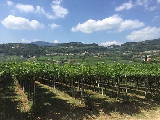 Le Bignele Winery