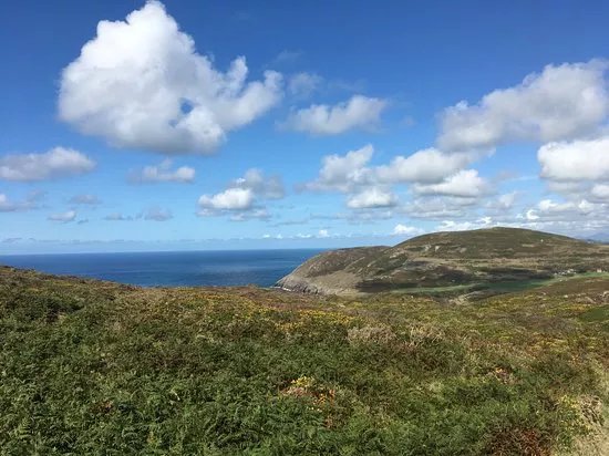 Mynydd Mawr