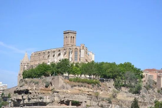 Basilica Santa Maria De La Seu