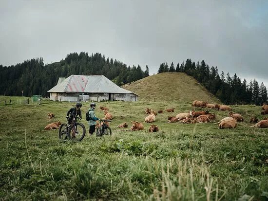 E-bike Et Fondue Aux Paccots