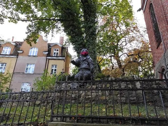 Niedzwiedz Zolnierz