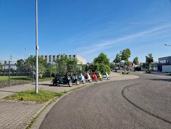 Pfalzvespen