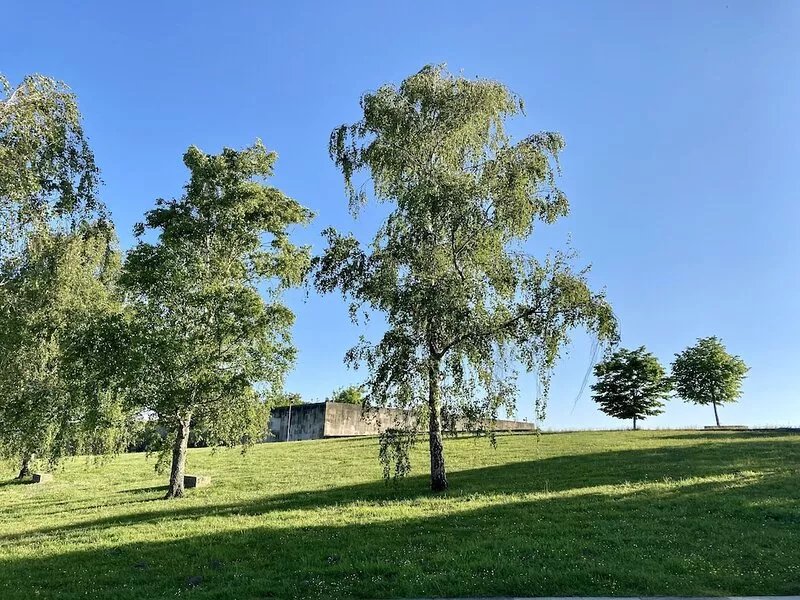 House in the "Monte Pedroso" natural park, 12 minutes walk from the Cathedral
