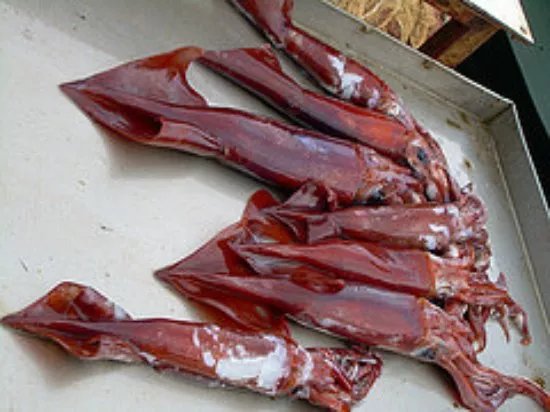 Lupi di Mare Palermo