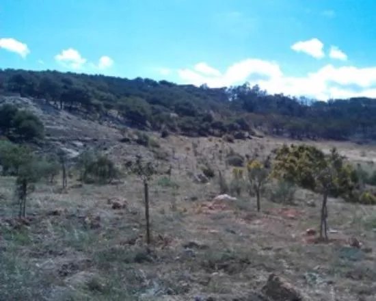 Sendero Verde