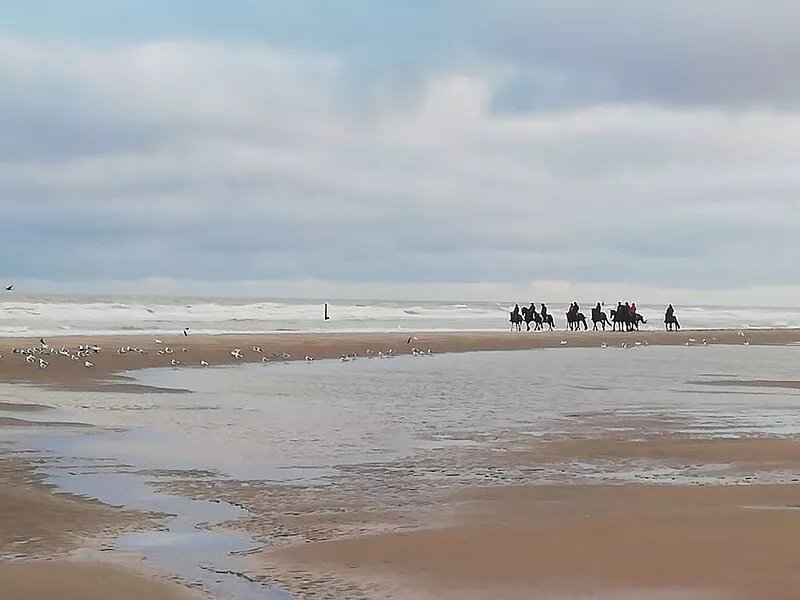 Holiday Duinenwind - holiday in Belgium
