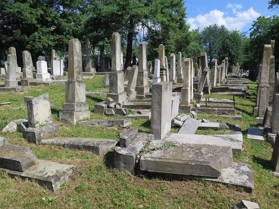 Moinesti Jewish Cemetery