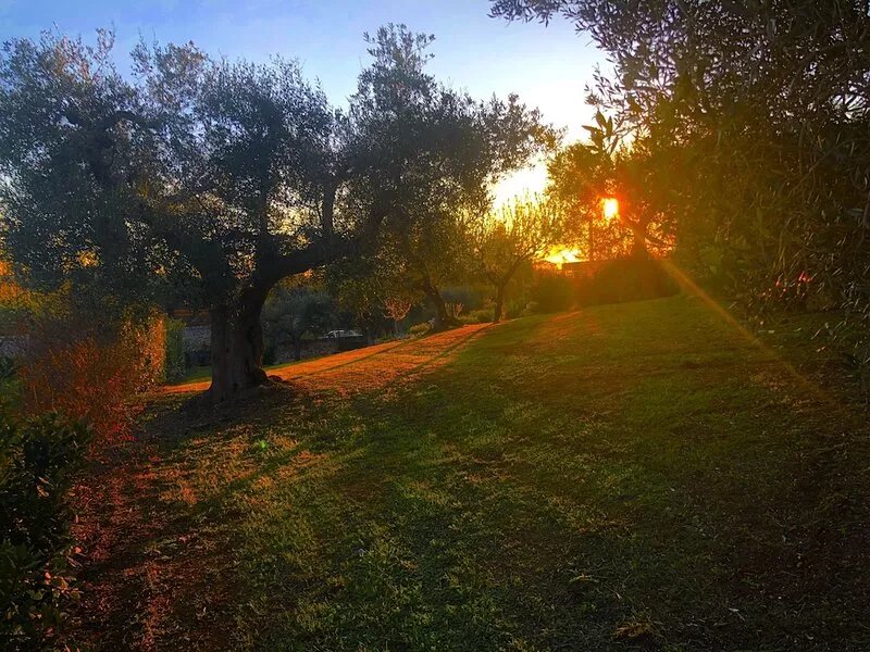 Beatifull Trullo with private stone pool & jacuzzi,WI-FI free -