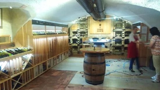 Slovacka galerie Vin