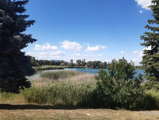 Omszki-to ( Lake Of Omszk)