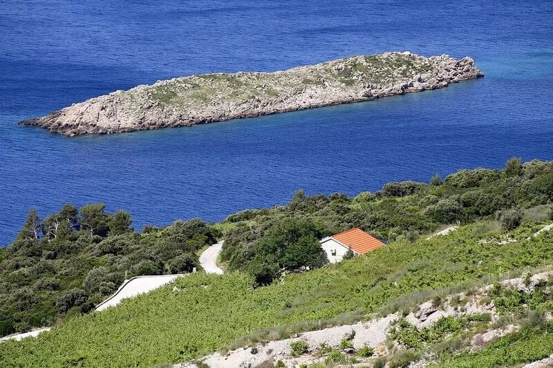 Holiday house with a parking space Dingač - Pristranj, Pelješac (K-660)