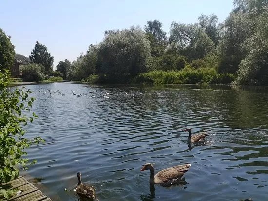 Wensum Park