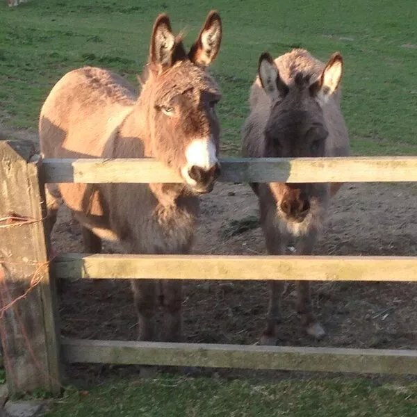 Lovely Views, Walking, Fishing, Close to Rye and a Short Drive to Camber Sands