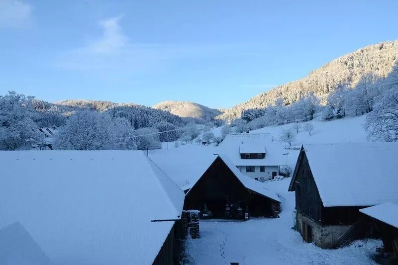 Lovingly furnished vacation apartment in our Black Forest house