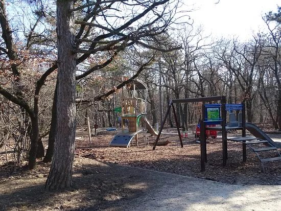 Rege Park