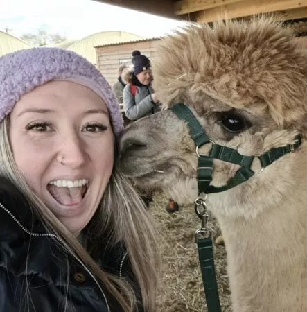 Flatlands Alpacas