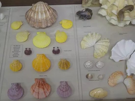 Chatzopouleios Dimotiki Vivliothiki Porou