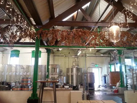 Green Duck Brewery Co.