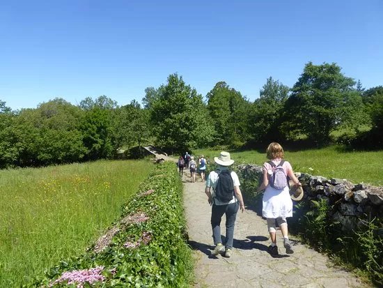 Follow The Camino