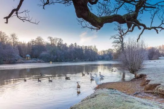 Cowdray Park