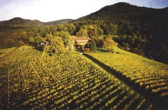 Weingut Nagelsforst